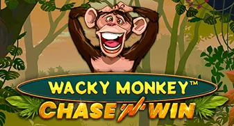 Wacky Monkey — Chase’N’Win